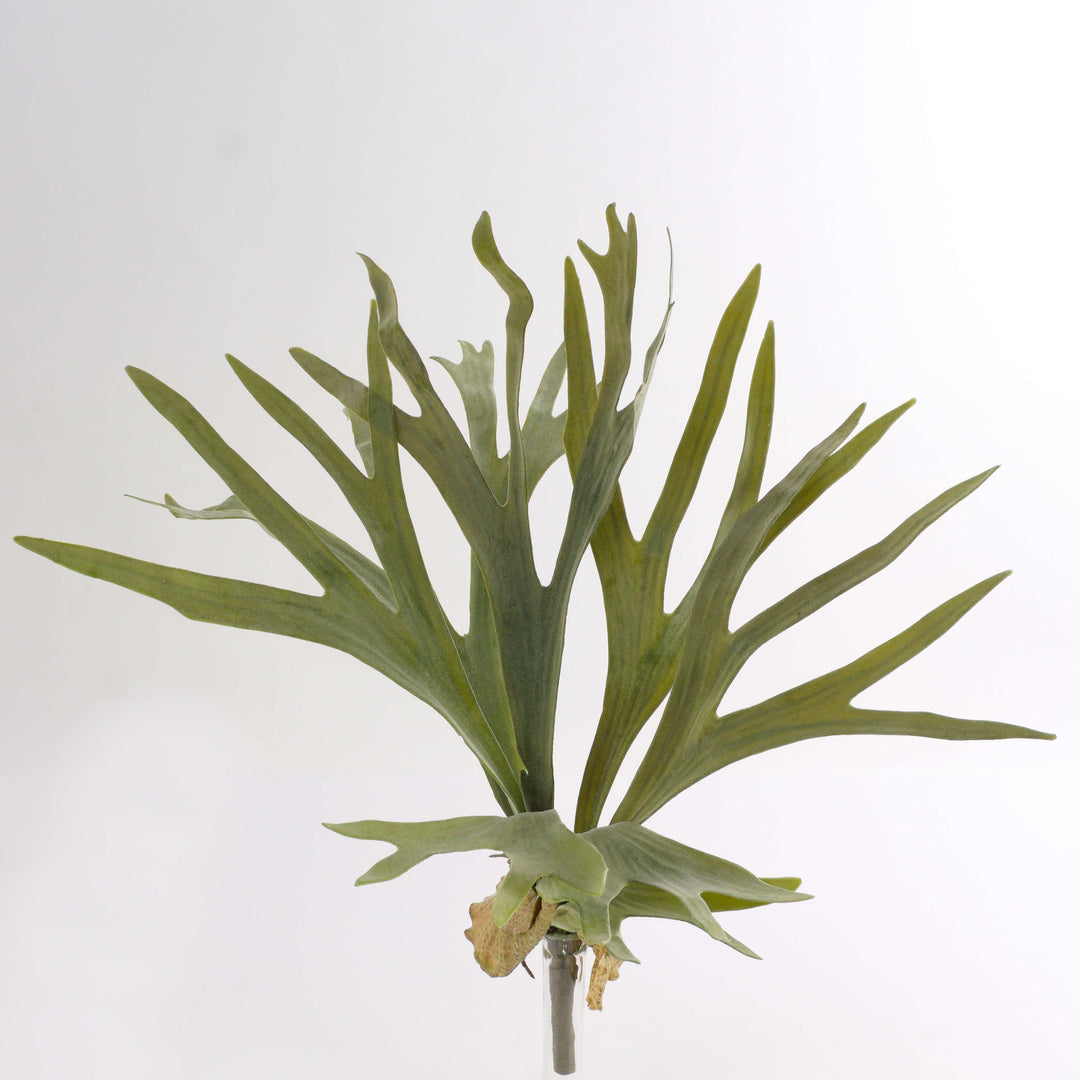 artplants.de Künstlicher Geweihfarn George, 8 Blätter, grün, Ø 50cm, 40cm - Kunst Farn - Kunstpflanz
