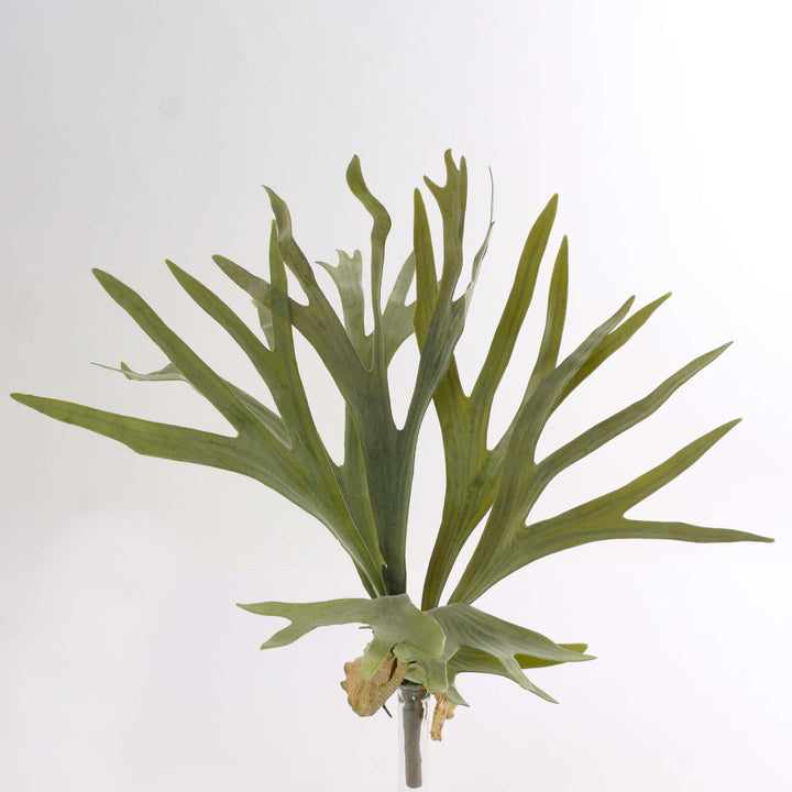 artplants.de Künstlicher Geweihfarn George, 8 Blätter, grün, Ø 50cm, 40cm - Kunst Farn - Kunstpflanz