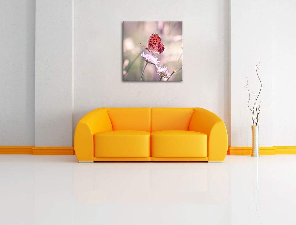 Bezaubernder Schmetterling, Format: 70x70 auf Leinwand, XXL riesige Bilder fertig gerahmt mit Keilra