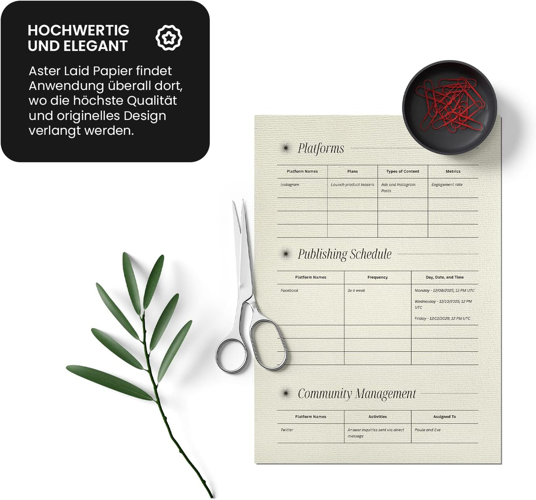 Netuno 500x Elfenbein Bastelpapier gerippt mit Wasserzeichen DIN A4 29,7 x 21 cm 120g Aster Laid Ivo