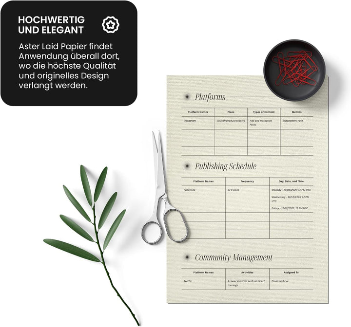 Netuno 500x Elfenbein Bastelpapier gerippt mit Wasserzeichen DIN A4 29,7 x 21 cm 120g Aster Laid Ivo