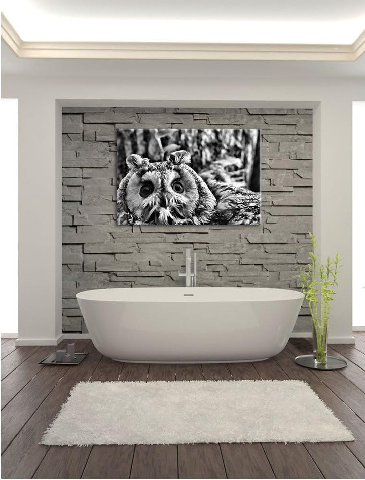 Pixxprint Grünäugige Eule als Leinwandbild/Grösse: 100x70 / Wandbild/Kunstdruck/fertig bespannt, 100