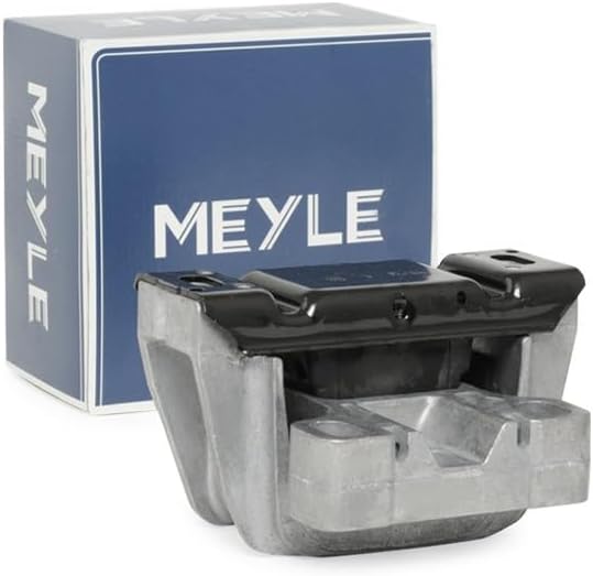 MEYLE LAGERUNG, MOTOR