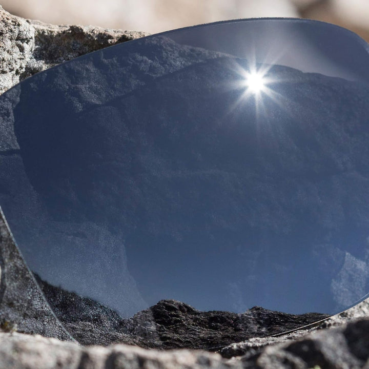REVANT Ersatzgläser für Costa Fantail - Kompatibel mit für Costa Fantail Schwarz Chrome Mirrorshield