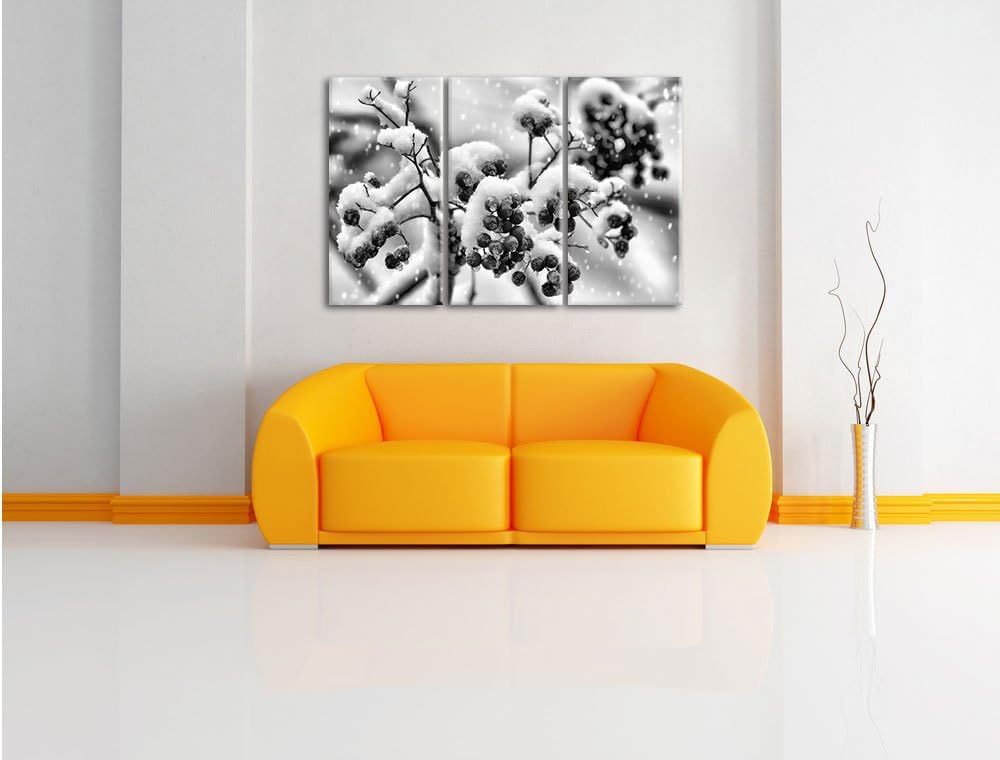 Pixxprint Gefrorene Äste als Leinwandbild/Grösse: 3 Teilig (120x80) / Wandbild/Kunstdruck/fertig bes