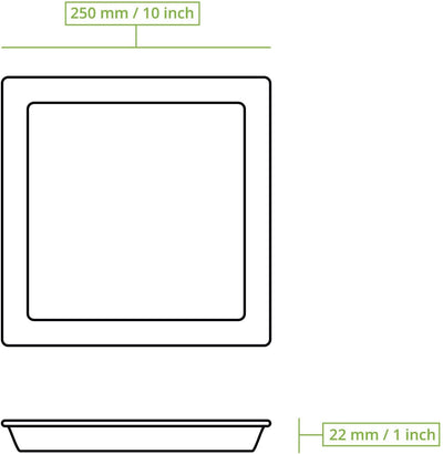 BIOZOYG 100 Stück Palmblatt-Teller 25 x 25 cm | stilsicher, kompostierbar & naturbelassen | Einwegte