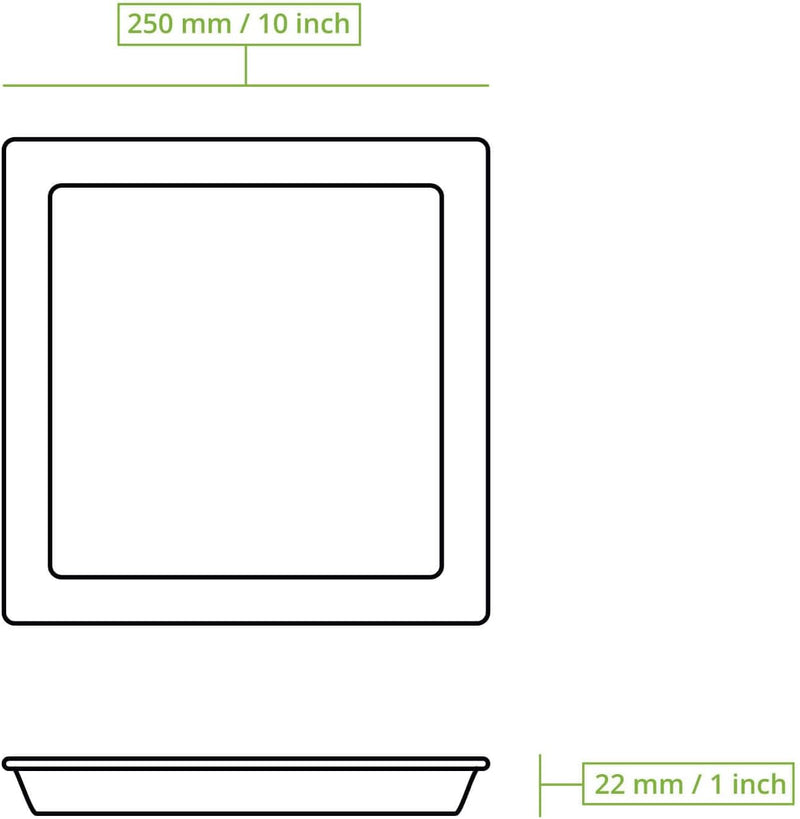 BIOZOYG 100 Stück Palmblatt-Teller 25 x 25 cm | stilsicher, kompostierbar & naturbelassen | Einwegte