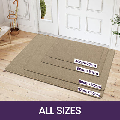 DEXI Fussmatte Innen 44 x 75cm, rutschfest Schmutzfangmatte, waschbar Fussmatte, Dünne Eingangstürma