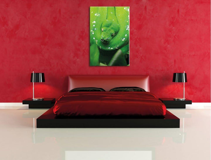 Grüne giftige Schlange, Format: 100x70 auf Leinwand, XXL riesige Bilder fertig gerahmt mit Keilrahme