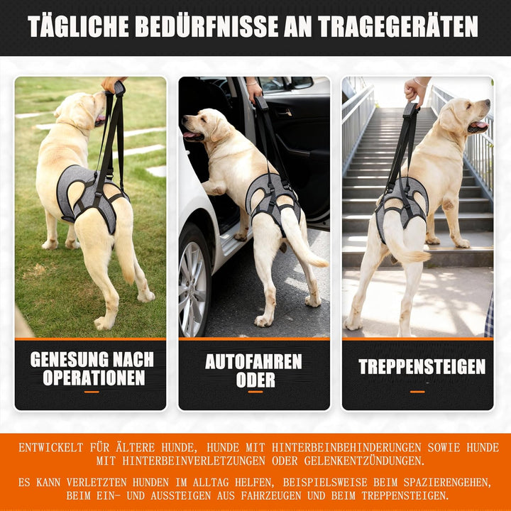 Hunde Tragehilfe, Verstellbarer Hundegeschirr für die Hinterbeine， Tragbarer Hunde Aufzugsgeschirr T