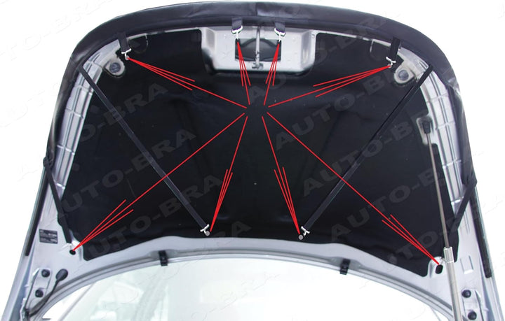 AB-00728 CARBON OPTIK Auto Bra kompatibel mit VW Volkswagen New Beetle Bj. 1998-2010 Haubenbra Stein