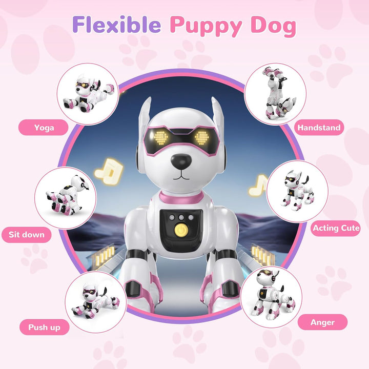 PRANITE Roboter Hund, Programmierbarer Roboterhund Kinder Ferngesteuerter Spielzeug, Wiederaufladbar
