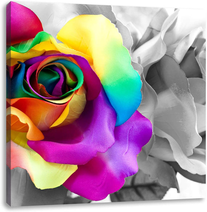 Pixxprint Kunterbunte Rosenblätter / 70x70cm Leinwandbild bespannt auf Holzrahmen/Wandbild Kunstdruc