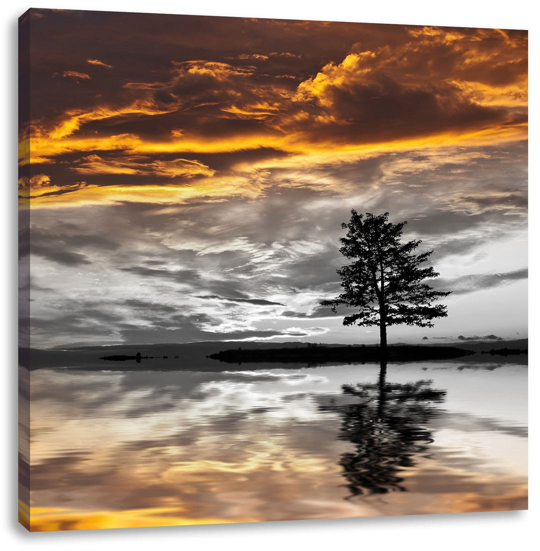 Pixxprint einsamer Baum auf Wiese schwarz/weiss, Format: 70x70 auf Leinwand, 70x70
