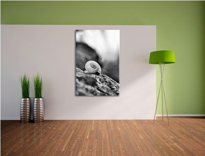 Pixxprint kleine Schnecke auf Stein als Leinwandbild | Grösse: 100x70 cm | Wandbild | Kunstdruck | f
