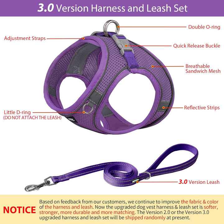AIITLE Bequemes Hundegeschirr und Leine Set zum Gassi gehen - Step in Vest Harness, Reflektierende B