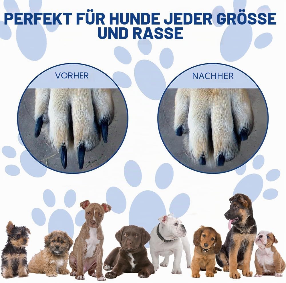 10 Stück Ersatzblättern Schleifpapier für Krallenschleifer für Hunde,Kratzbrett Hund Schleifpapier,S