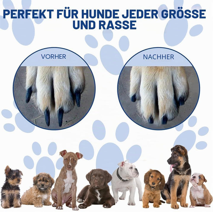 10 Stück Ersatzblättern Schleifpapier für Krallenschleifer für Hunde,Kratzbrett Hund Schleifpapier,S