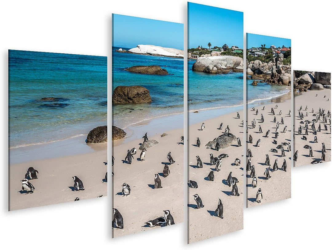 islandburner Bild auf Leinwand Pinguine Kapstadt Südafrika Afrikanischer Strand Bilder Wandbilder Po