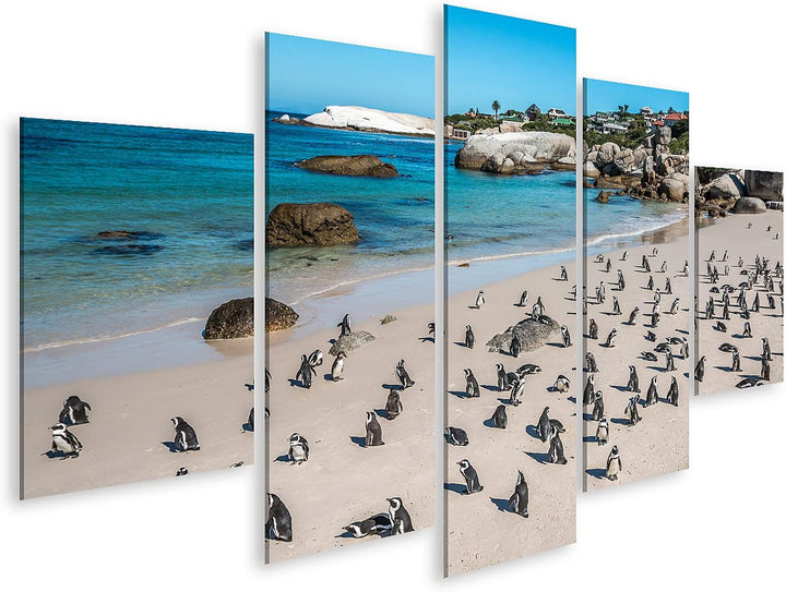 islandburner Bild auf Leinwand Pinguine Kapstadt Südafrika Afrikanischer Strand Bilder Wandbilder Po
