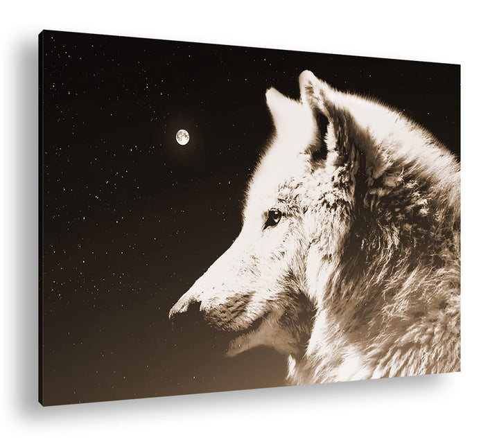 deyoli einsamer stolzer Wolf Format: 100x70 Effekt: Sepia als Leinwandbild, Motiv fertig gerahmt auf