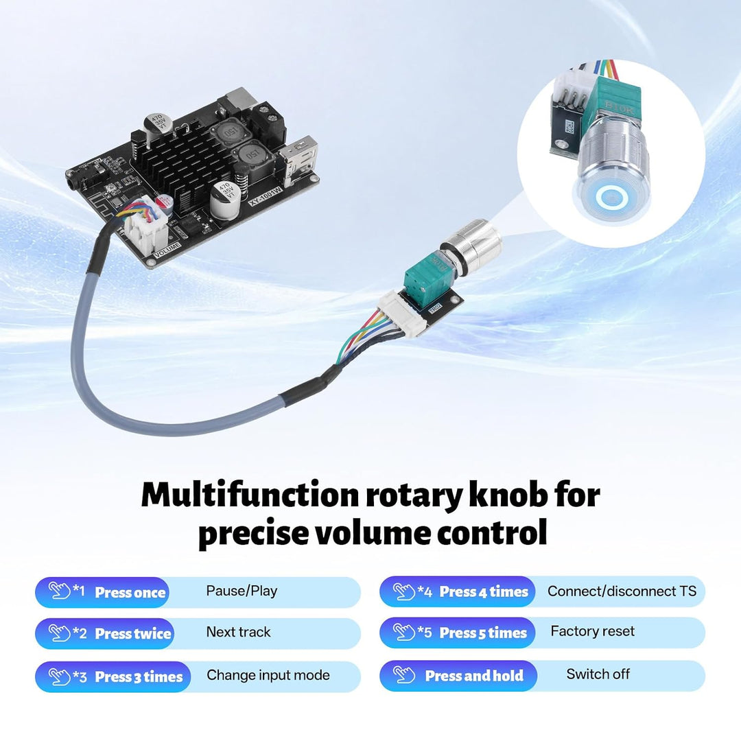 XY-1001W Bluetooth Verstärker Modul, TWS DC 9-24V 100W Mono Audio Verstärkerplatine mit AUX USB Blue