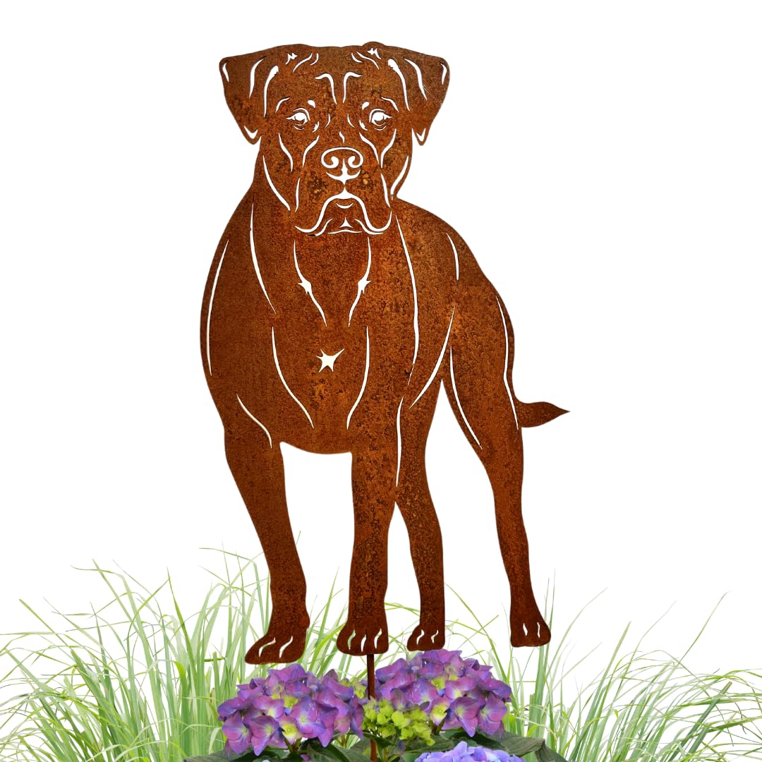 Terma Stahldesign Edelrost Hund Cane Corso, Handmade Germany, tolle gartendeko aus Rost-Metall, deko