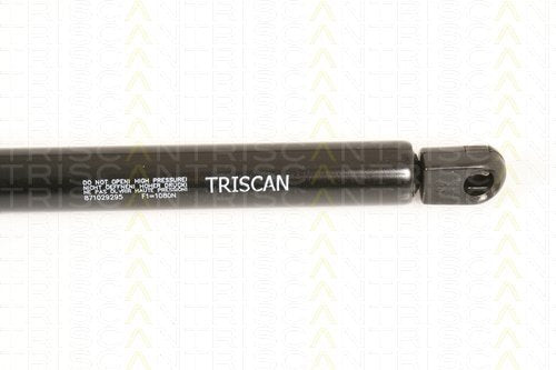 Triscan 871029295 Gasfeder Kofferraum