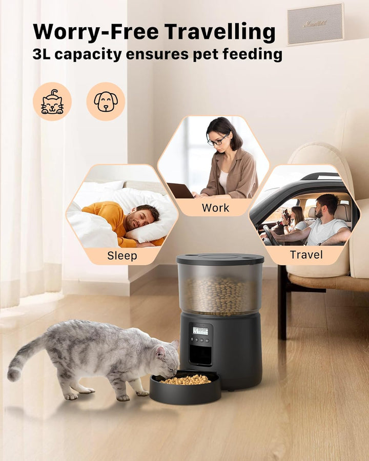 BEMOONY Futterautomat Katze, Katzenfutter Automat mit Programmierbarem Timer, 1-6 Mahlzeiten pro Tag