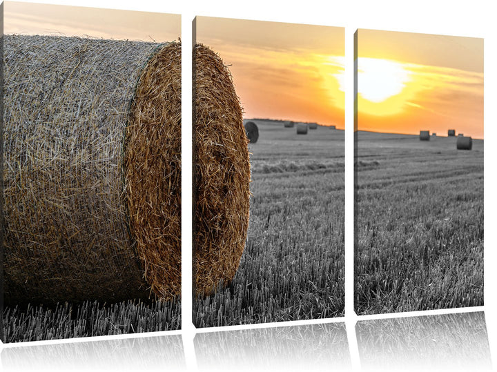 Pixxprint Strohballen auf Feld als Leinwandbild/Grösse: 3 Teilig (120x80) cm/Wandbild/Kunstdruck/fer