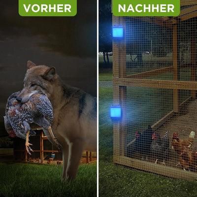 ISOTRONIC Wildschwein-Stopp Waschbären-Abwehr Tiervertreiber blaues LED-Licht gegen Waschbär Wilde T