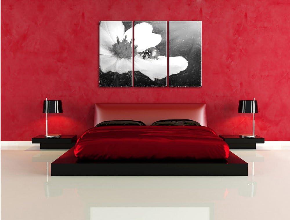 Pixxprint Marienkäfer auf Einer Blume / 3-Teilig/Gesamtmass 120cm Leinwandbild bespannt auf Holzrahm