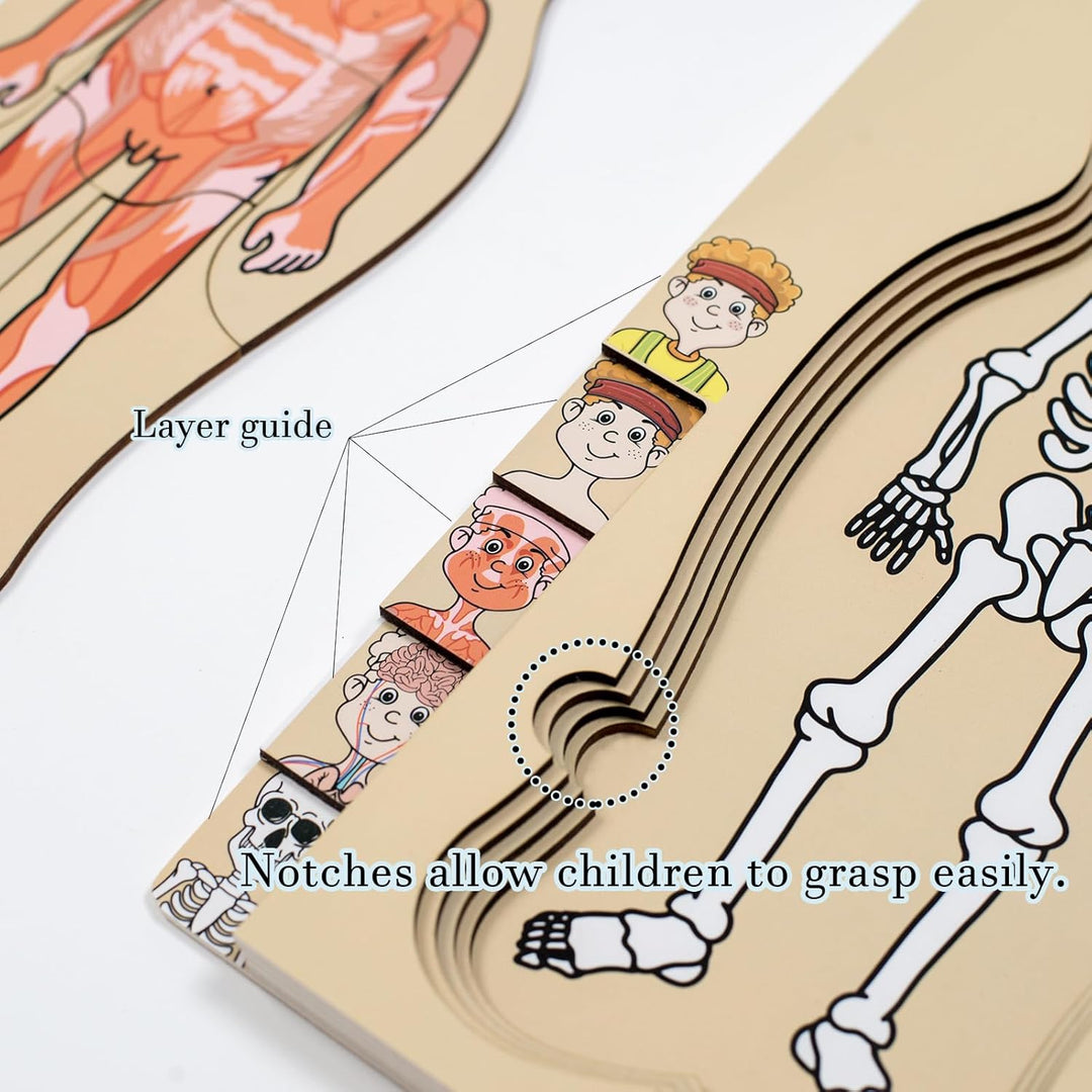 Meine Körperteile Puzzle für Kleinkinder Kinder Mädchen Jungen Montessori Holz Anatomie Puzzle 3-5 J