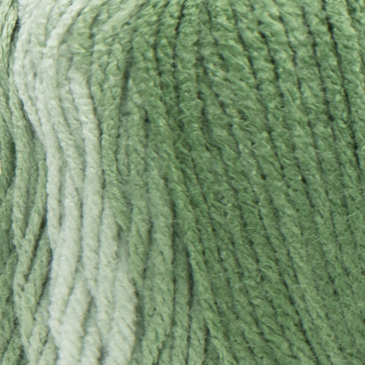 Red Heart E305.4933P02 Super Saver Jumbo Garn, Acryl, Green Apple Ombre, 2 Pack, 2 Count, Green Appl