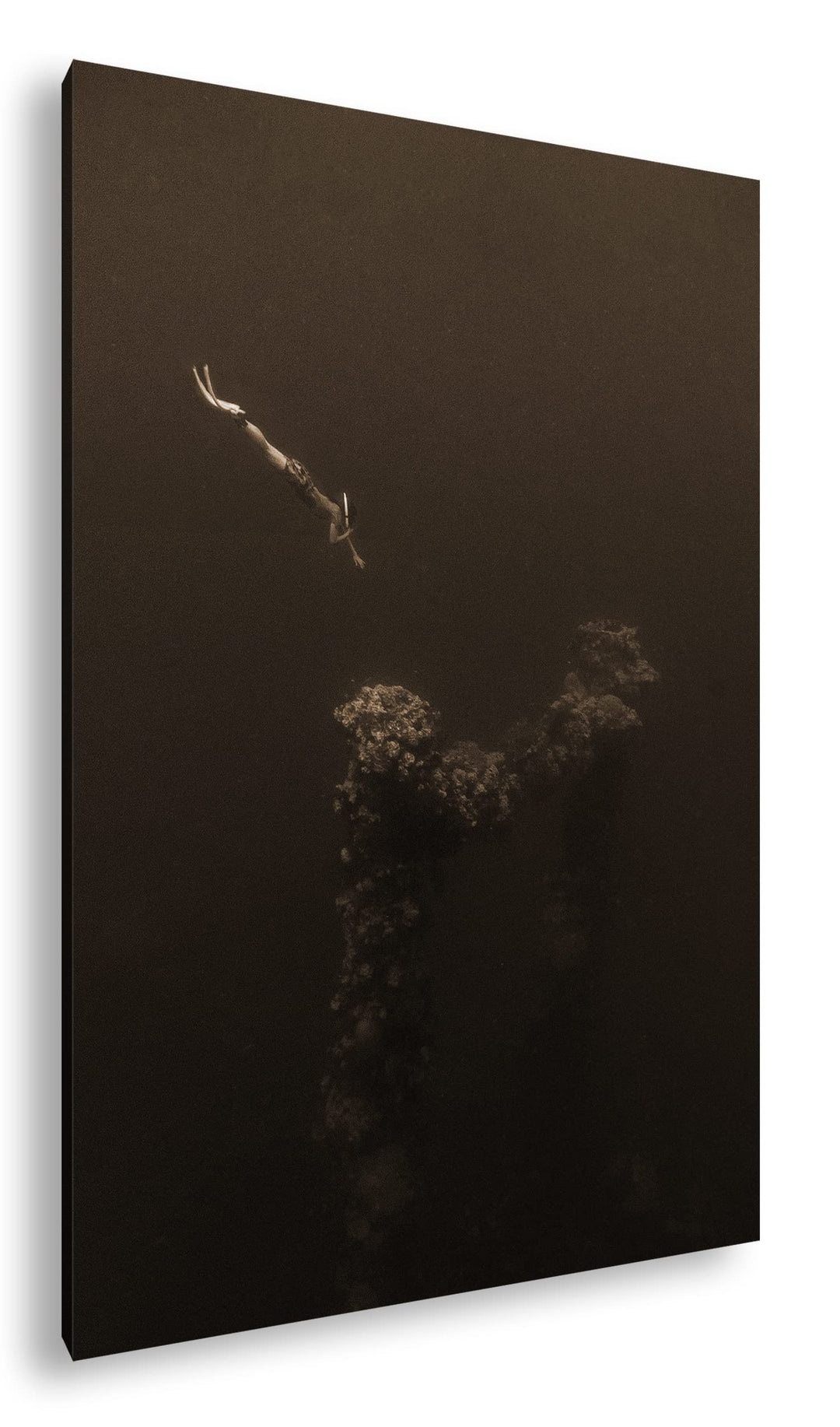 deyoli tiefer Tauchgang zum Meeresgrund Effekt: Sepia, Format: 80x60 als Leinwandbild, Motiv fertig