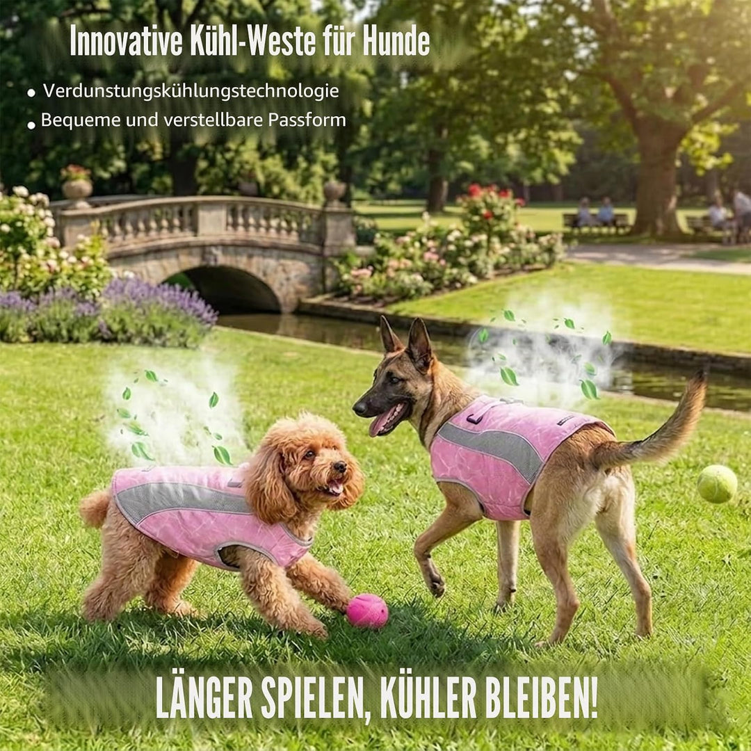 Hundekühlweste mit Geschirr, Outdoor-Welpenkühljacke mit verstellbarem Reissverschluss, reflektieren