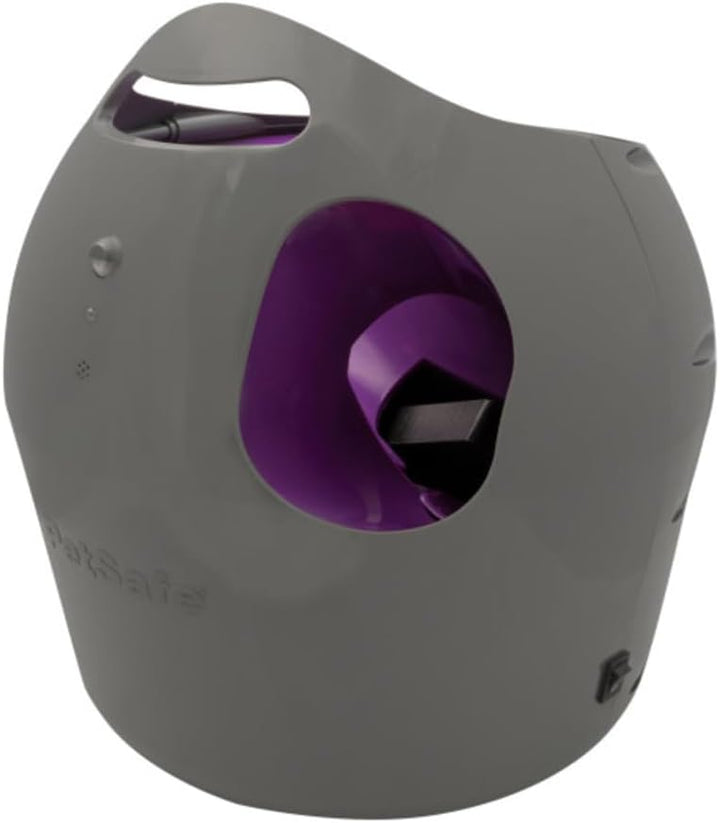 PetSafe Automatisches Hundespielzeug, interaktiver Tennisballwerfer für Hunde, wasserdicht, 1 Stück