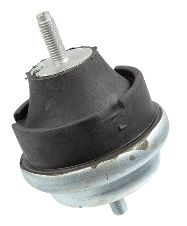 Lemförder 36273 01 Lagerung, Motor