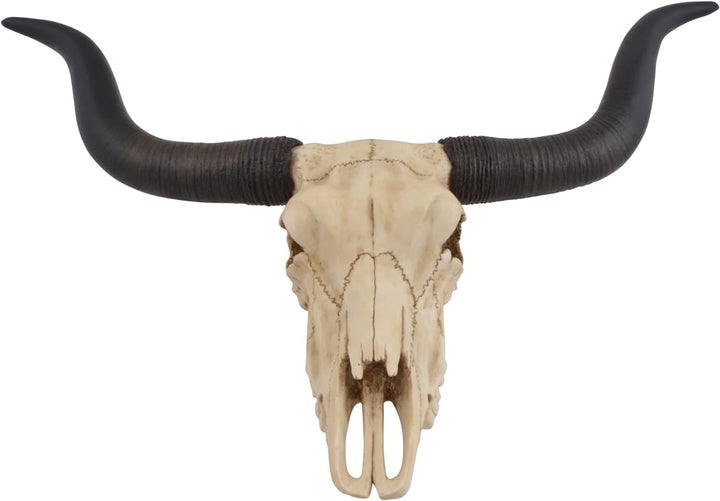 VOGLER Joh. Vogler GmbH Longhorn-Rinderschädel - by Veronese