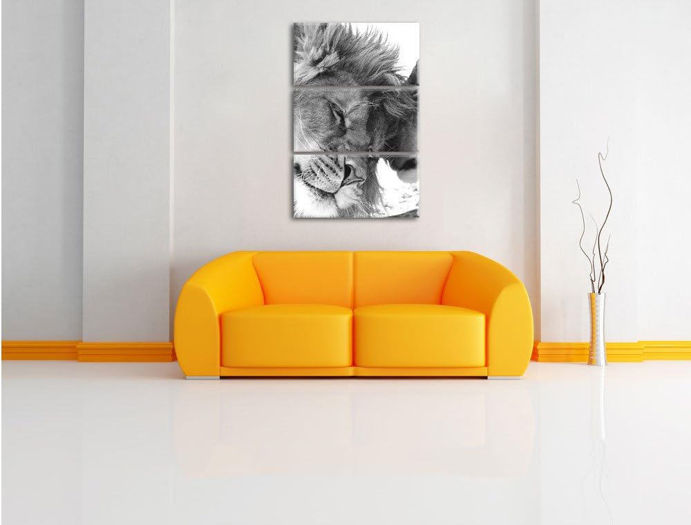 Pixxprint Bezauberndes kuschelndes Löwenpaar als Leinwandbild/Grösse: 3 Teilig (120x80) cm/Wandbild/