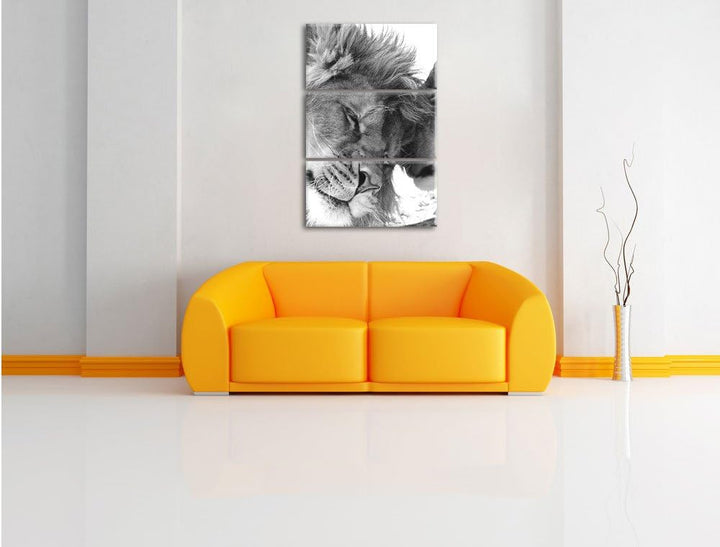 Pixxprint Bezauberndes kuschelndes Löwenpaar als Leinwandbild/Grösse: 3 Teilig (120x80) cm/Wandbild/