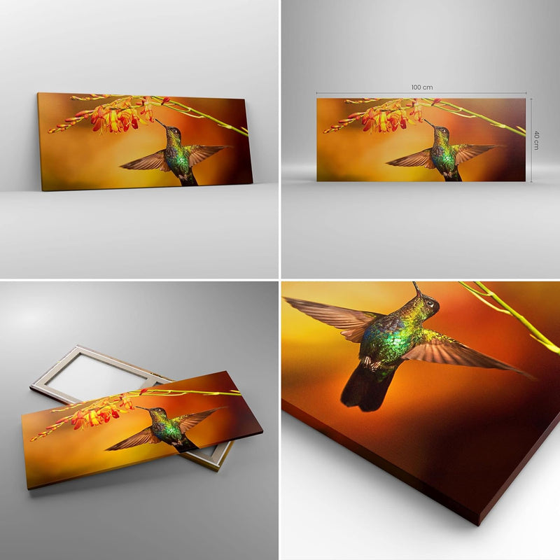 Panorama Bilder auf Leinwand 100x40cm Leinwandbild Kolibri Vogel Sommer Gross Wanddeko Bild Schlafzi