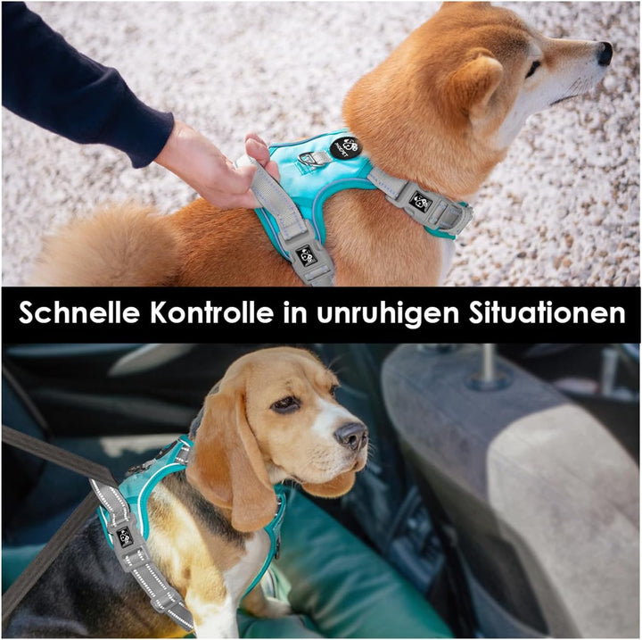 PHOEPET Anti-Zug Hundegeschirr - Reflektierendes Verstellbares Welpen-Sicherheitsgeschirr für kleine