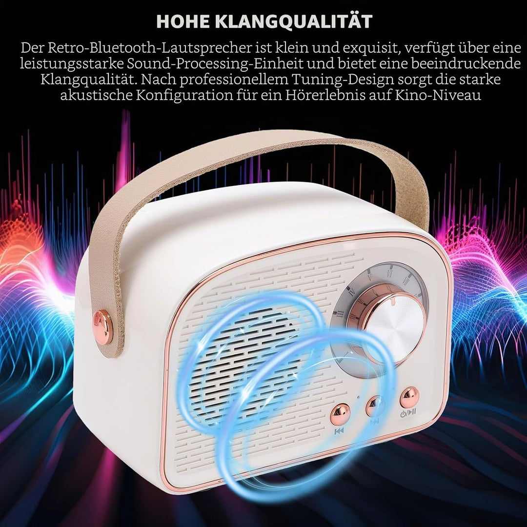 Garsent Retro BT -Lautsprecher, Kleiner Handheld Tragbares Vintage -Dekor für Home Outdoor DW21, 500