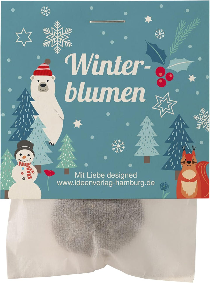 10x "Winterblumen" Winter Samenbomben Kindergeburtstag / treiben aus bei Kälte! / Geschenke Mitgebse