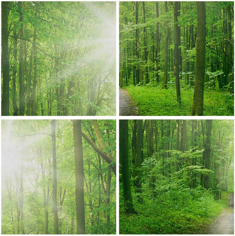 Wandbilder Dekoration Wohnzimmer Sonnenstrahlen Wald Sommer Panorama Bilder auf Leinwand 120x50cm Le