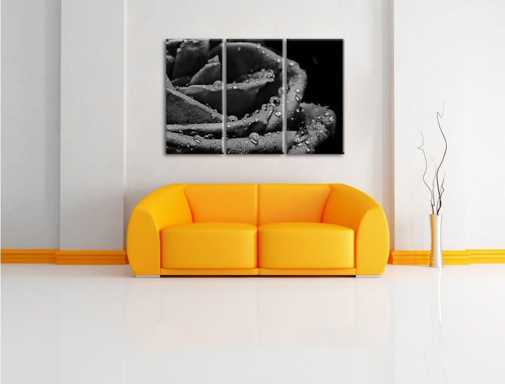 Pixxprint Tropfen auf roter Rose als Leinwandbild/Grösse: 3 Teilig (120x80) cm/Wandbild/Kunstdruck/f