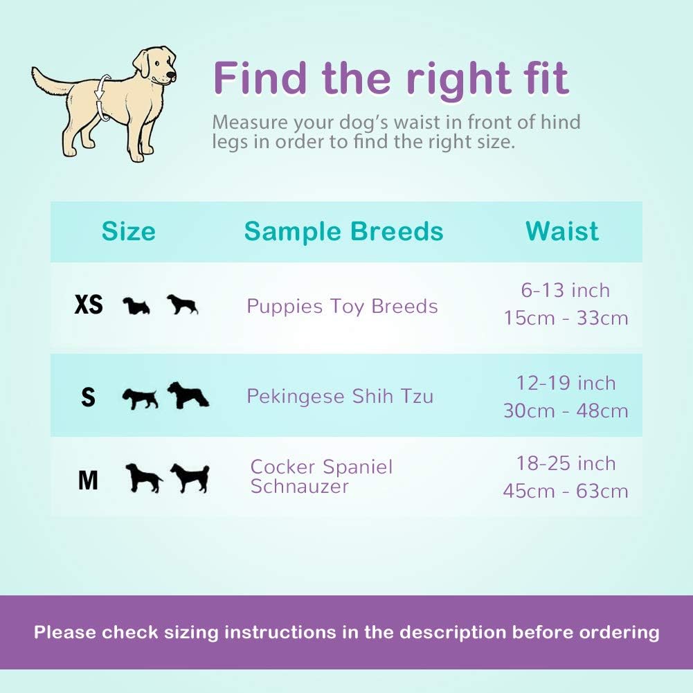 Flying Paws Rüdenwindel,24 Stück S Einweg-Hundewindeln für Rüden,Super Saugfähig Hundewindeln für kl