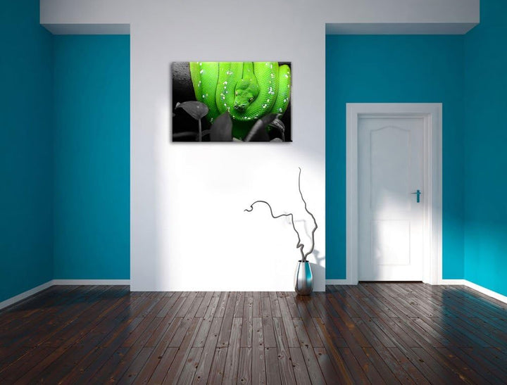 Giftige Grüne Schlange schwarz/weiss Format: 100x70 auf Leinwand, XXL riesige Bilder fertig gerahmt