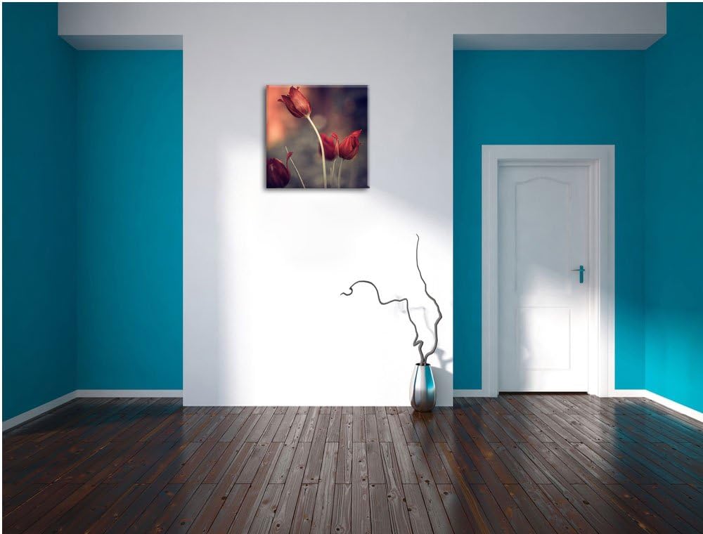 Edle Tulpen im Abendlicht, Format: 70x70 auf Leinwand, XXL riesige Bilder fertig gerahmt mit Keilrah